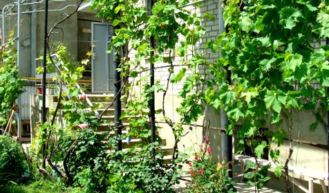 Дворик Коттедж на Октябрьской, г. Геленджик