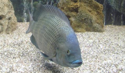 Океанариум "Подводный мир"