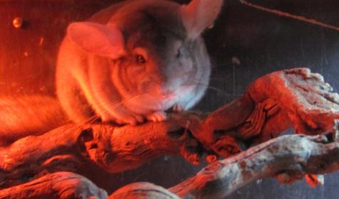 Экзотариум