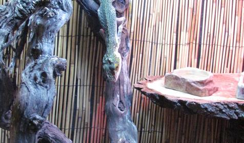 Экзотариум