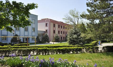 Территория. Санаторий Солнечный, г. Геленджик, с. Кабардинка