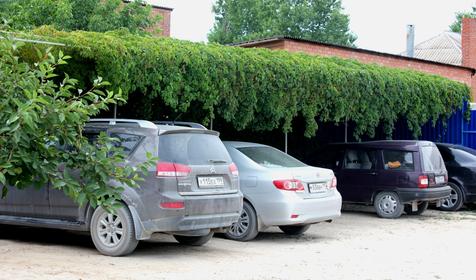 Частная мини-база отдыха Солнечная, ст. Должанская