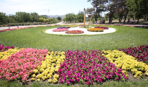 Аллея роз, г. Анапа