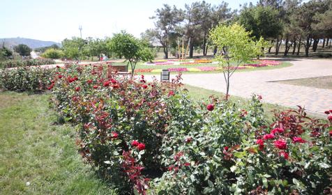 Аллея роз, г. Анапа