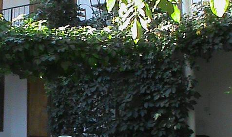 Двор, Гостевой дом Оазис, с. Кабардинка