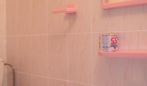 Санузел, Гостевой дом Оазис, с. Кабардинка