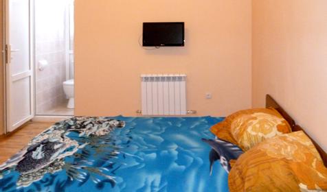 Двухместный стандарт гостевого дома Наргиз, г. Адлер