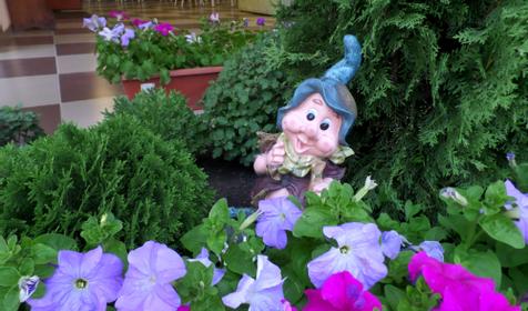 Цветы. Гостевой дом "Адмирал", п. Небуг