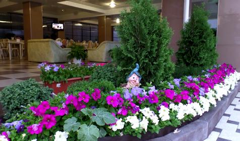 Терраса Гостевой дом Адмирал, Туапсинский район, п. Небуг