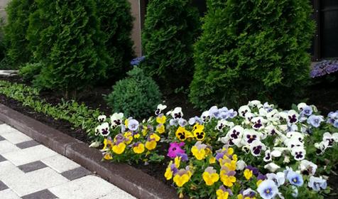 Гостевой дом Адмирал, п. Небуг