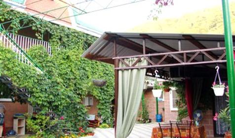 Двор. Гостевой дом "Эдем", п. Ольгинка