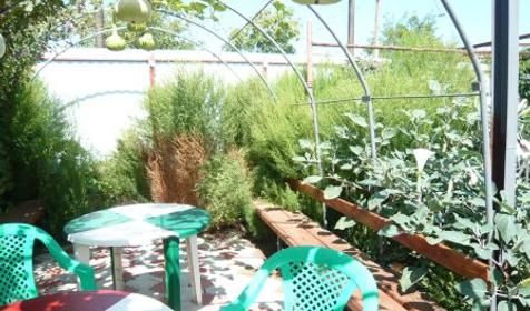 Двор. Гостевой дом Тандем, Темрюкский район, п. Пересыпь