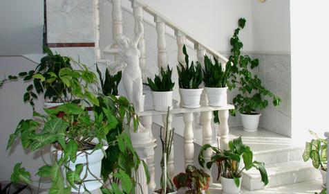 Гостиница Горгиппия, г. Анапа