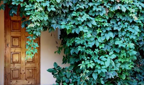 Двухместный стандарт Гостевой дом Азов-сокол, ст. Голубицкая