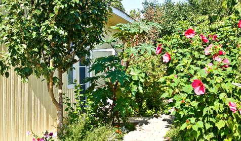 Гостевой дом Ласточкино гнездо, ст. Голубицкая