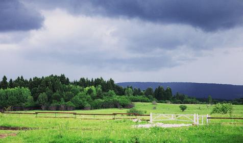 Крестьянско-фермерское хозяйство Усадьба Колхидские Ворота, Апшеронский район, Камышанова поляна
