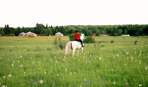 Крестьянско-фермерское хозяйство Усадьба Колхидские Ворота, Апшеронский район, Камышанова поляна