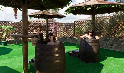 Винные СПА. Пансионат "Tizdar Family Resort & Spa 5*", пос. За Родину