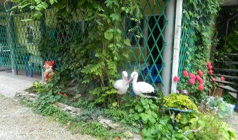 Гостевой дом Людмила, г. Геленджик, п. Архипо-Осиповка