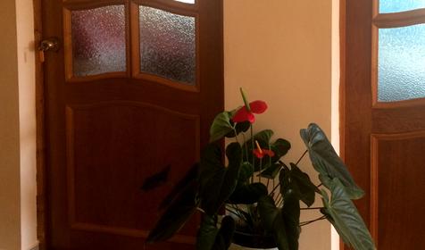 Корридор Гостевой дом Амелия, п. Вардане