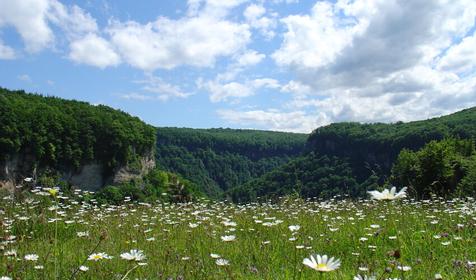 Каньонинг, ущелье р. Мешоко. Агентство «Формула отдыха», Лагонаки