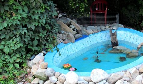 Фонтан с черепахами. Гостевой дом "Отдых у Татьяны", ст. Должанская