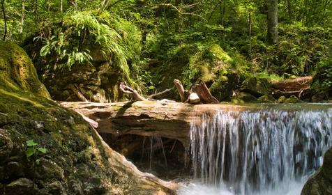 Каньонинг, водопады "Университетский", "Чинарный". Агентство «Формула отдыха», Лагонаки