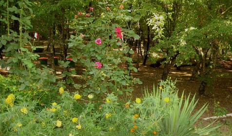 База отдыха Восход, Туапсинский район, Бухта Инал