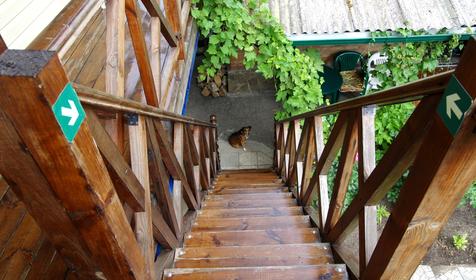 Капитан-клуб АРiЯ, г. Ейск