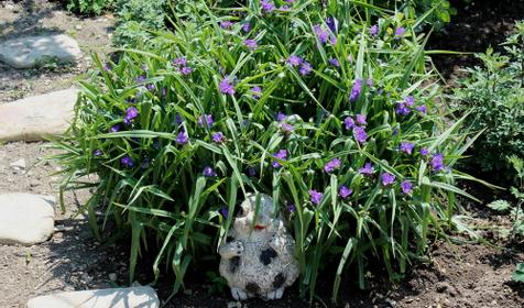 Частная гостиница На Горной, с. Кабардинка