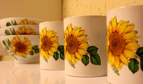 Гостевой дом "Солнечный чертог", г. Сочи