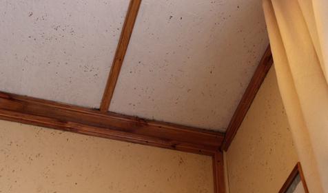 Гостевой дом "Солнечный чертог", г. Сочи