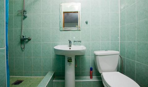 Санузел Трехместный стандарт Гостиница Аннушка, с. Ольгинка