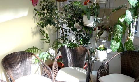 Гостевой дом "Анна", г. Сочи, Адлерский р-н