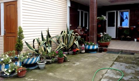 Мини-гостиница Джемма, г. Адлер