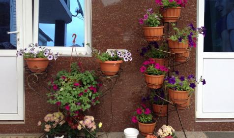 Мини-гостиница Джемма, г. Адлер