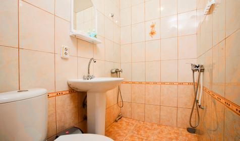 Санузел Трехместный стандарт Гостиница У Вилена, пос. Джубга