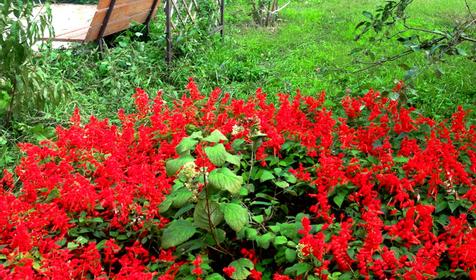 Гостевой дом На Песчаной, п. Витязево