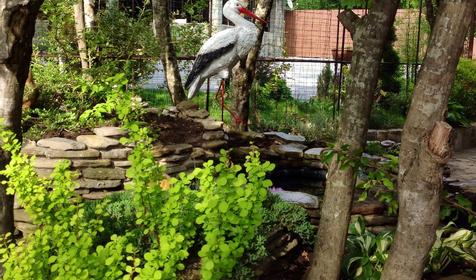 Территория для отдыха. Туристическая база отдыха Нефтяник, п. Бухта Инал