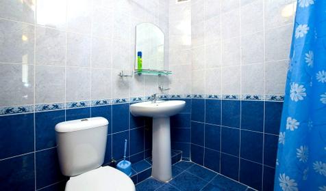 Санузел Двухместный номер Гостевой дом Лера, г. Сочи, Лазаревский район, п. Лоо