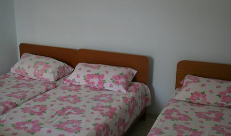 Двухместный эконом Гостевой дом Эльпида, г. Анапа