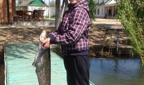 Рыболовно-охотничья база Азовские плавни, Славянский район, х. Ставки