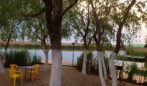 Рыболовно-охотничья база Азовские плавни, Славянский район, х. Ставки