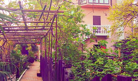 Двор Частная гостиница Лидия, Сочи