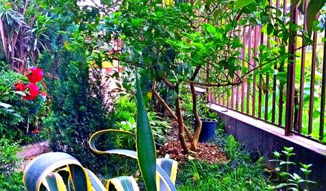 Частная мини-гостиница "Адлер-НаИгМа", г. Сочи, Адлерский р-н