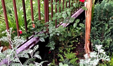 Частная мини-гостиница "Адлер-НаИгМа", г. Сочи, Адлерский р-н