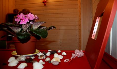 Хостел FREEDOM, г. Сочи, Адлерский р-н.