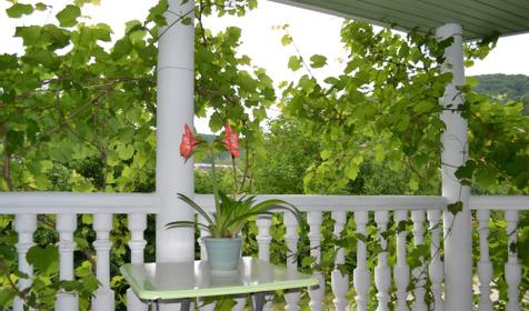 Гостевой дом Альдаир, г. Геленджик, с. Архипо-Осиповка