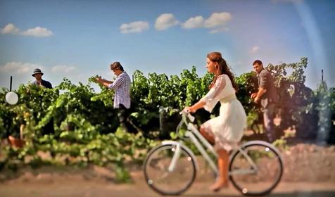 Экскурсии. . Усадьба Круглое озеро, г. Новороссийск, п. Абрау-Дюрсо