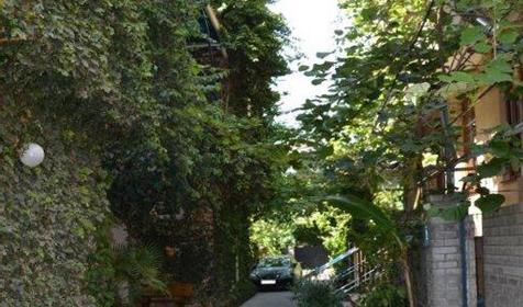 Территория. Отель ЛЭНСиС, г. Сочи, Адлерский район, г. Адлер